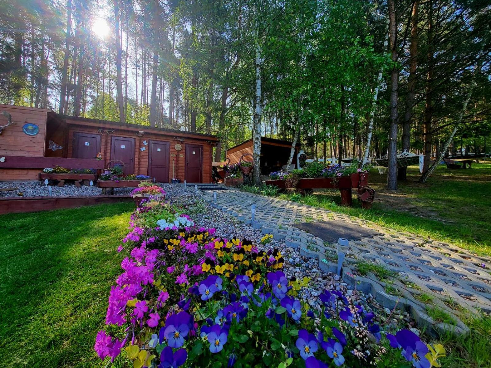 Hotel Glamping Pod Orlem Cedynia Esterno foto