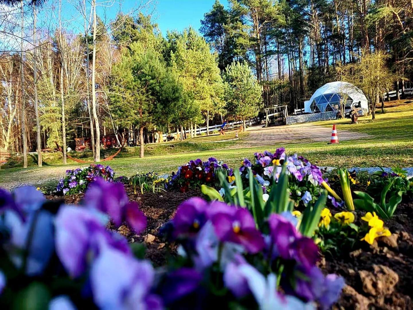 Hotel Glamping Pod Orlem Cedynia Esterno foto