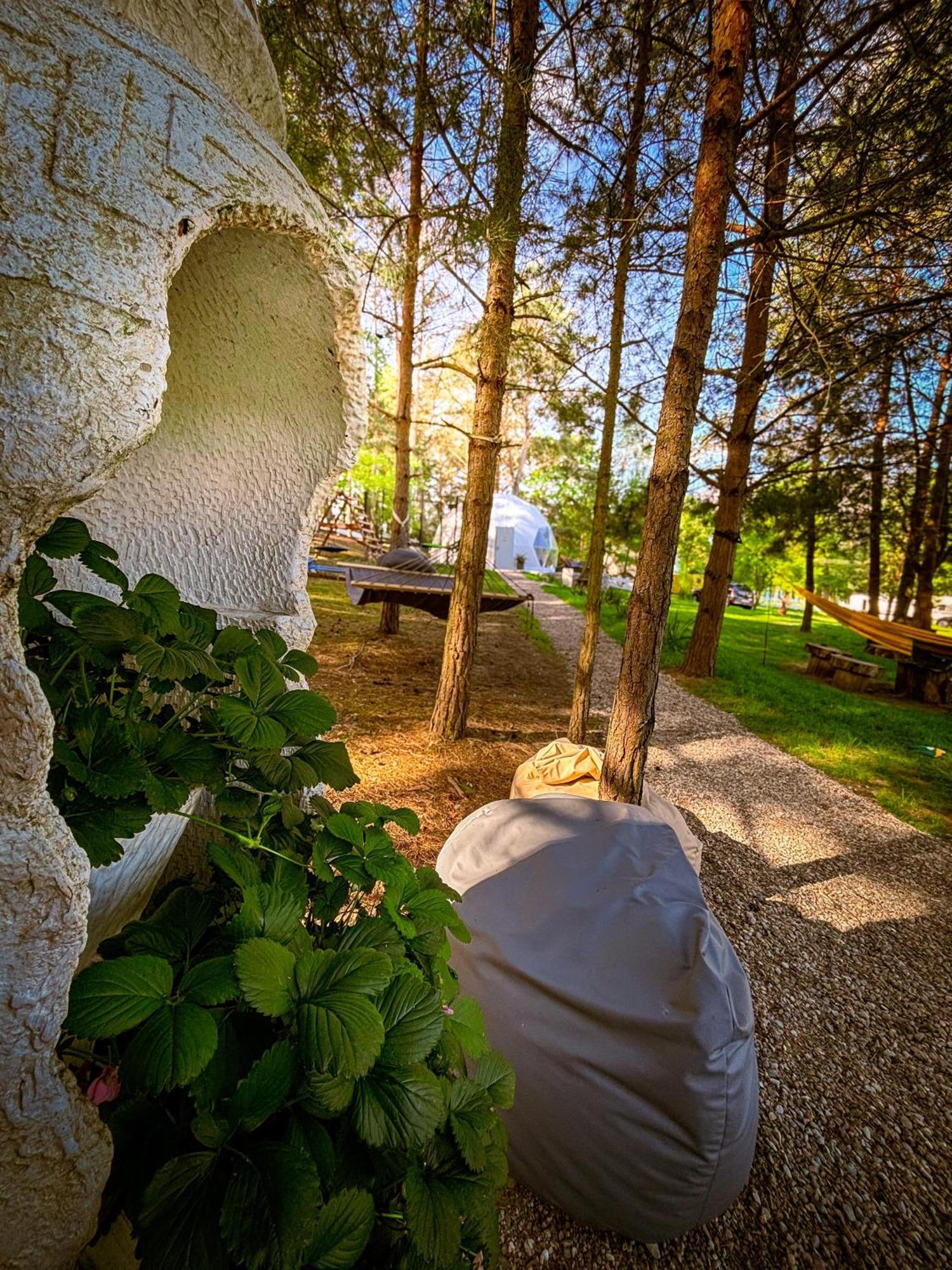 Hotel Glamping Pod Orlem Cedynia Esterno foto
