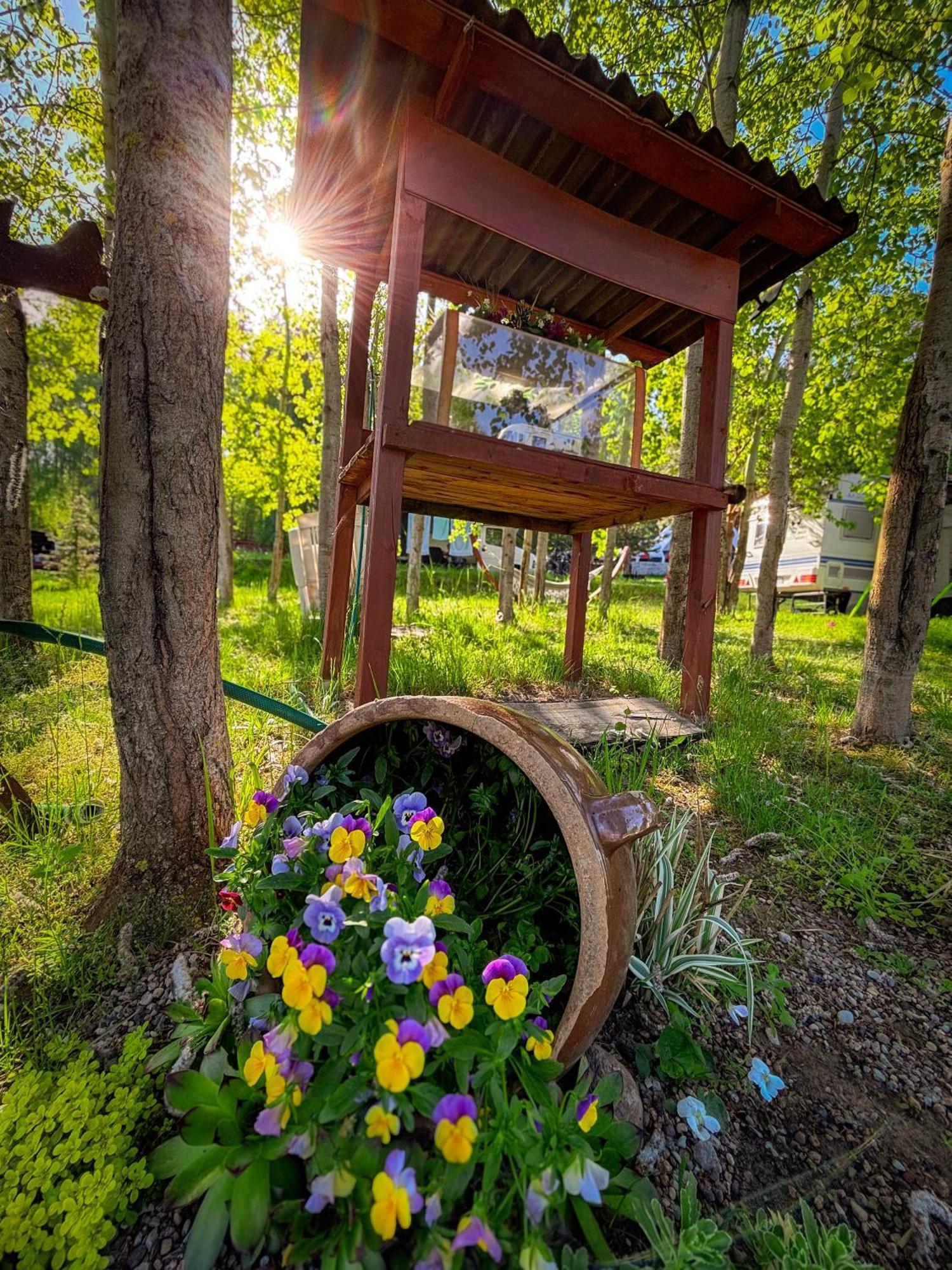Hotel Glamping Pod Orlem Cedynia Esterno foto