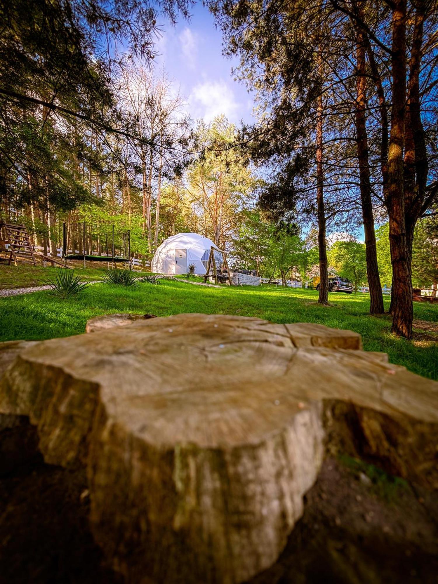 Hotel Glamping Pod Orlem Cedynia Esterno foto